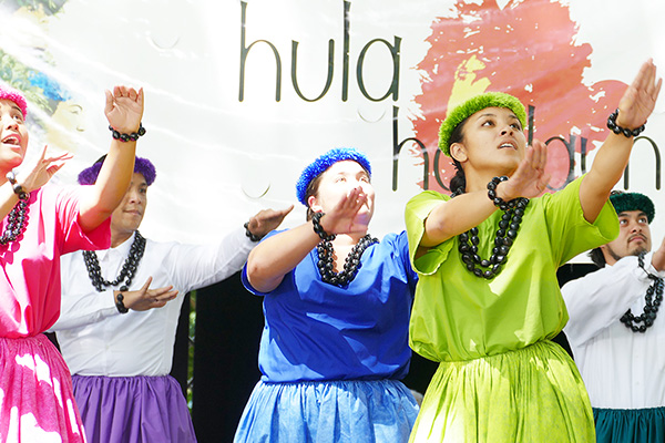 Hawaiiフラ紀行 シーズン4