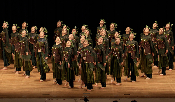 第15回全日本高等学校チームダンス選手権大会